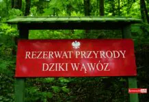 Czy będzie sąd nad Rezerwatem Przyrody Dziki Wąwóz? Sąd - Tablica Rezerwat Przyrody Dziki Wąwóz na tle lasu
