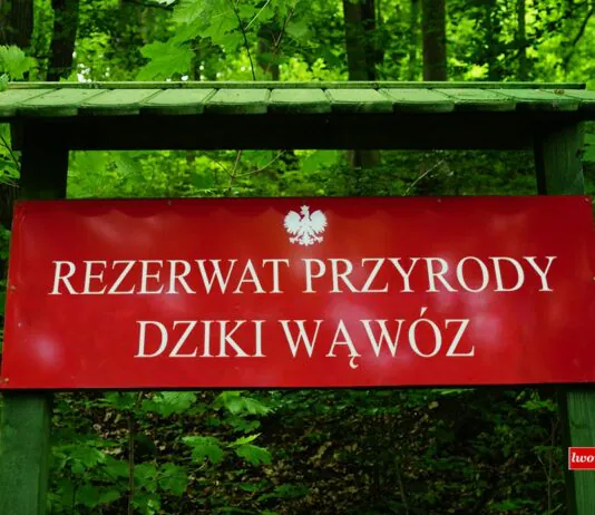 Sąd - Tablica Rezerwat Przyrody Dziki Wąwóz na tle lasu