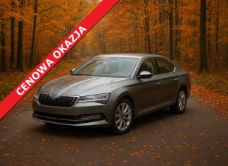 Chciała kupić Skodę Superb. Dziś nie ma ani samochodu, ani pieniędzy