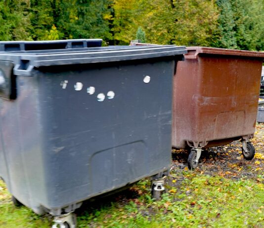 Jak dbać o groby, by nie szkodząc naturze?