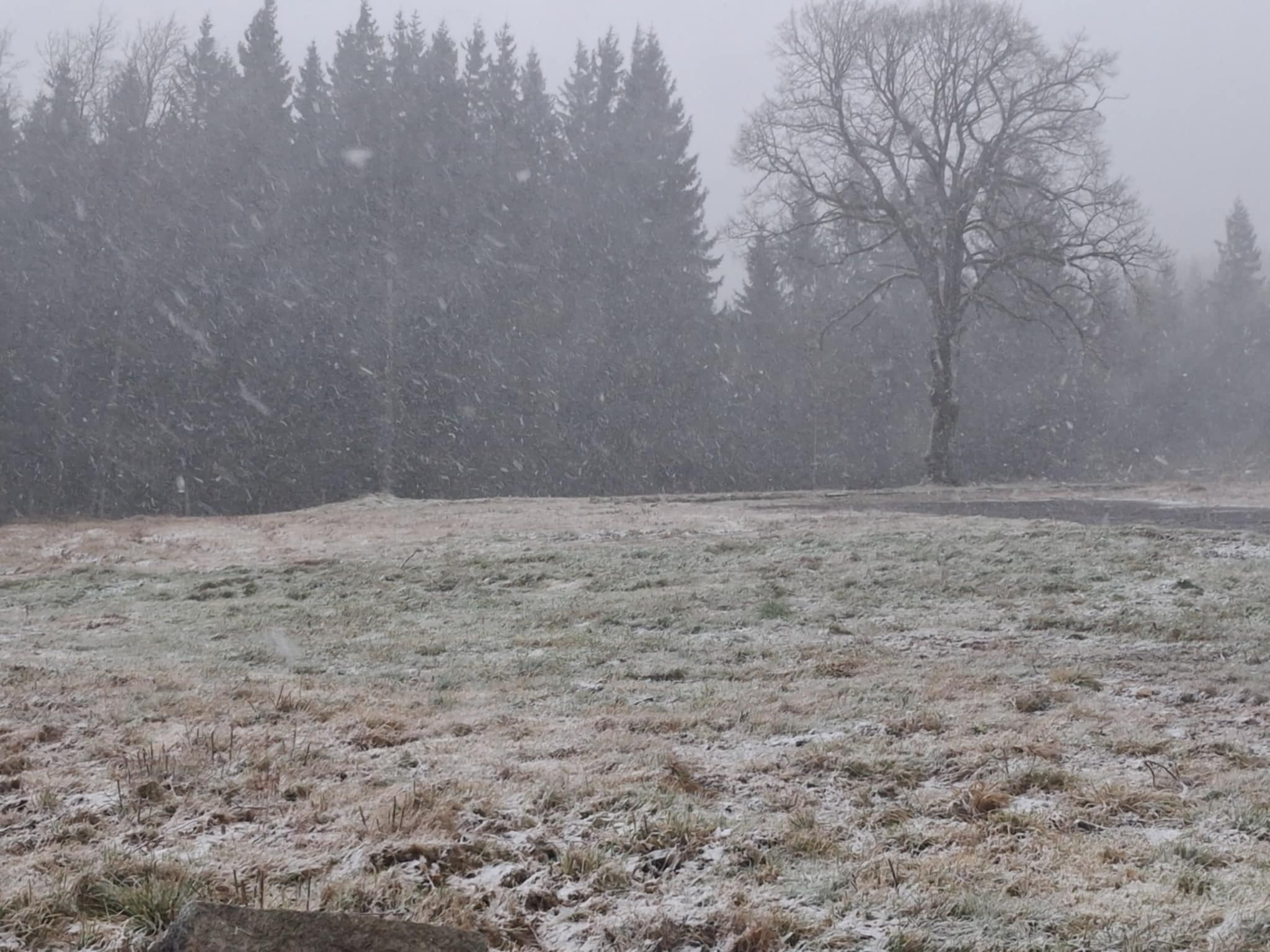 Pada śnieg i mocno wieje wiatr