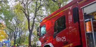 Samochód uderzył w drzewo. Droga jest zablokowana