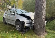 Zasłabł za kierownicą. Samochód wjechał w drzewo