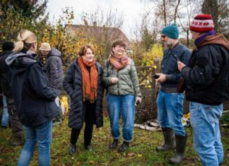 „Polska Przyszłość Pszczół” – w Gryfowie Śląskim powstaje inteligentna pasieka edukacyjna