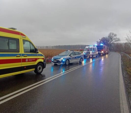 Samochód wypadł z drogi