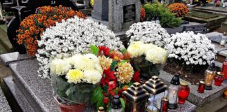 Cmentarna hiena w akcji