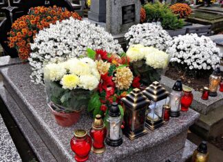 Cmentarna hiena w akcji