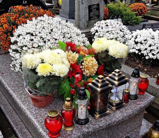 Cmentarna hiena w akcji