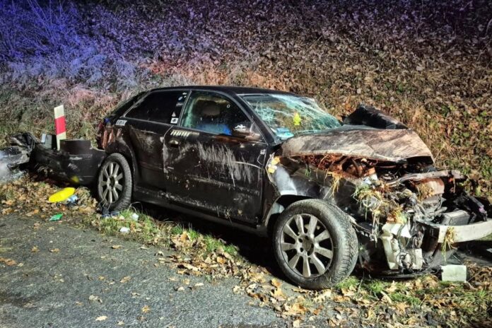 dachowanie Audi A3 DK30 5