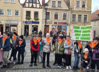 Happening w Gryfowie Śląskim