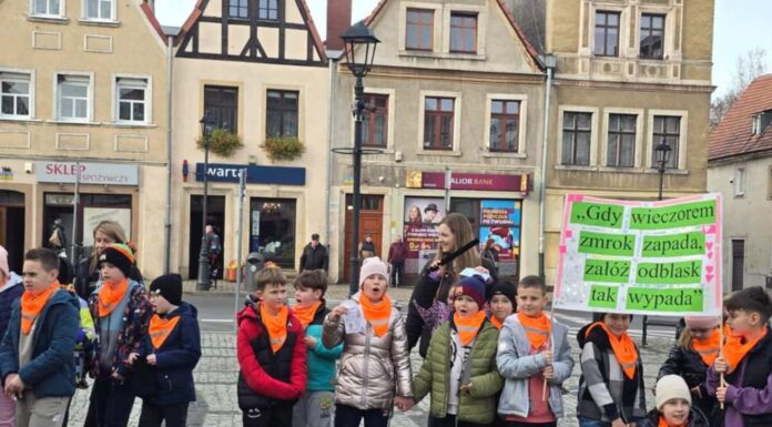 Happening w Gryfowie Śląskim