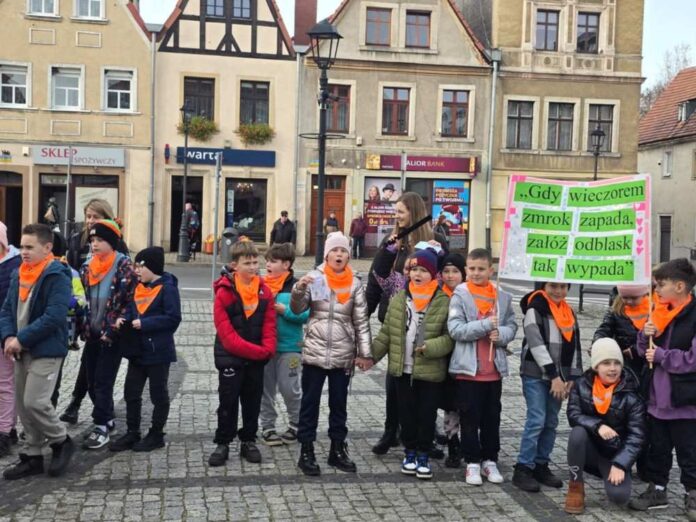 odblaskowa szkoła gryów 1