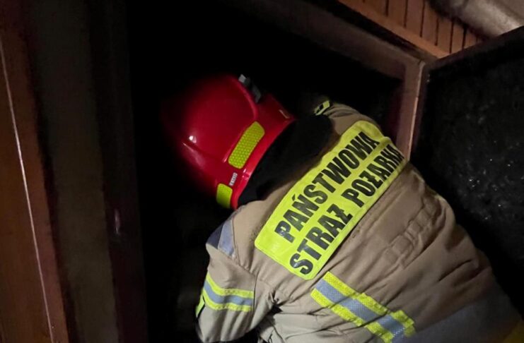 Strażacy dysponowani do pożaru komina