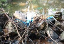 Budują tamy, które podtapiają sąsiadów. Ostatnio przyłapano tam dzieci