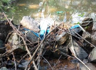 Budują tamy, które podtapiają sąsiadów. Ostatnio przyłapano tam dzieci