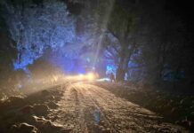 Strażacy usuwają skutki intensywnych opadów śniegu