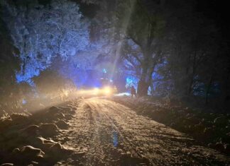 Strażacy usuwają skutki intensywnych opadów śniegu