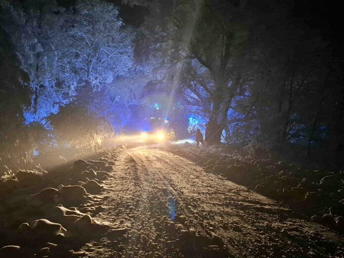 zimaśnieg straż pożarna drzewo 1