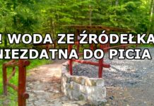 Woda w źródełku skażona bakteriami coli