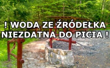 Woda w źródełku skażona bakteriami coli