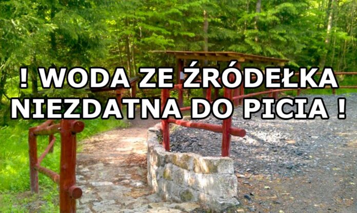 źródełko Platerówka Wielki Las Lubański