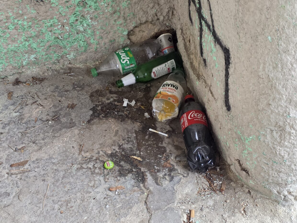 Wigilia w Lwówku Śląskim