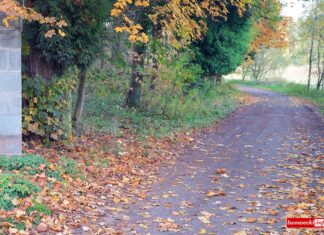 Petycja o utwardzenie drogi w Lwówku Śląskim