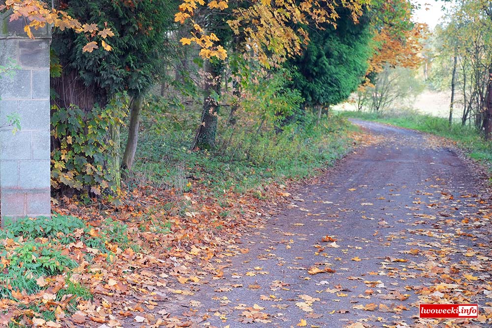 Petycja o utwardzenie drogi w Lwówku Śląskim