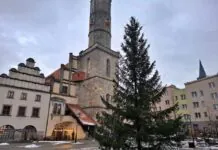 W Lwówku Śląskim jest już choinka