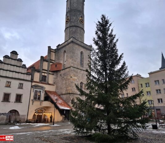 W Lwówku Śląskim jest już choinka