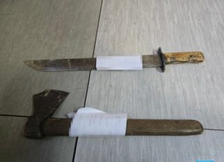 Kradli drewno. Grozi im do 5 lat więzienia