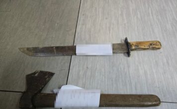 Kradli drewno. Grozi im do 5 lat więzienia