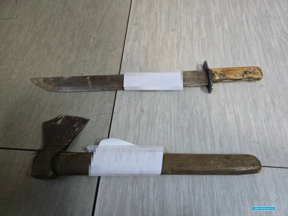 Kradli drewno. Grozi im do 5 lat więzienia