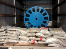 Ciężarówką przewoził narkotyki