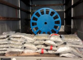 Ciężarówką przewoził narkotyki