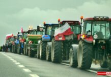 Akcja protestacyjna rolników. Sprawdź, gdzie staną ciągniki