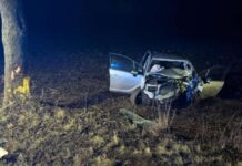 Oplem wjechał w drzewo. Dwie osoby w stanie ciężkim