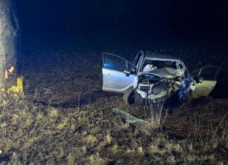 Oplem wjechał w drzewo. Dwie osoby w stanie ciężkim