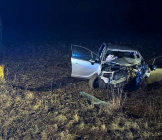 Oplem wjechał w drzewo. Dwie osoby w stanie ciężkim