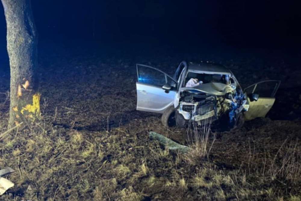 Oplem wjechał w drzewo. Dwie osoby w stanie ciężkim