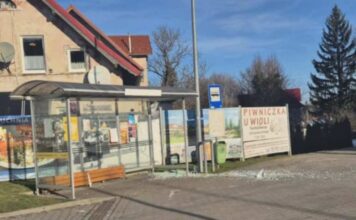 Wpadł w szał i zdewastował przystanek