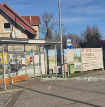 Wpadł w szał i zdewastował przystanek