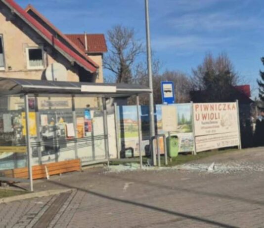Wpadł w szał i zdewastował przystanek