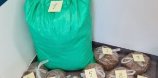 Lwóweccy policjanci zabezpieczyli nielegalny tytoń i papierosy