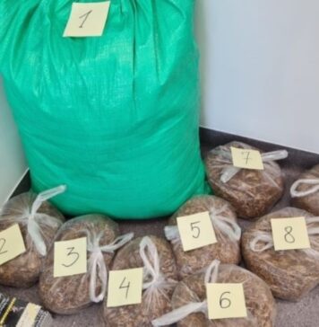 Lwóweccy policjanci zabezpieczyli nielegalny tytoń i papierosy