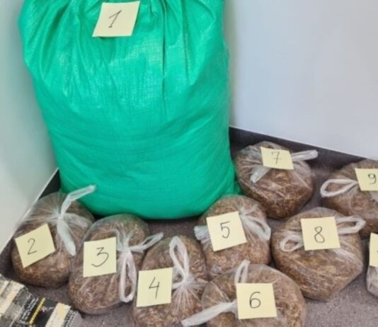 Lwóweccy policjanci zabezpieczyli nielegalny tytoń i papierosy