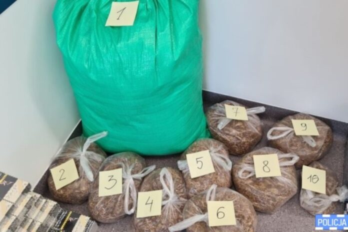 tytoń papierosy akcyza 3