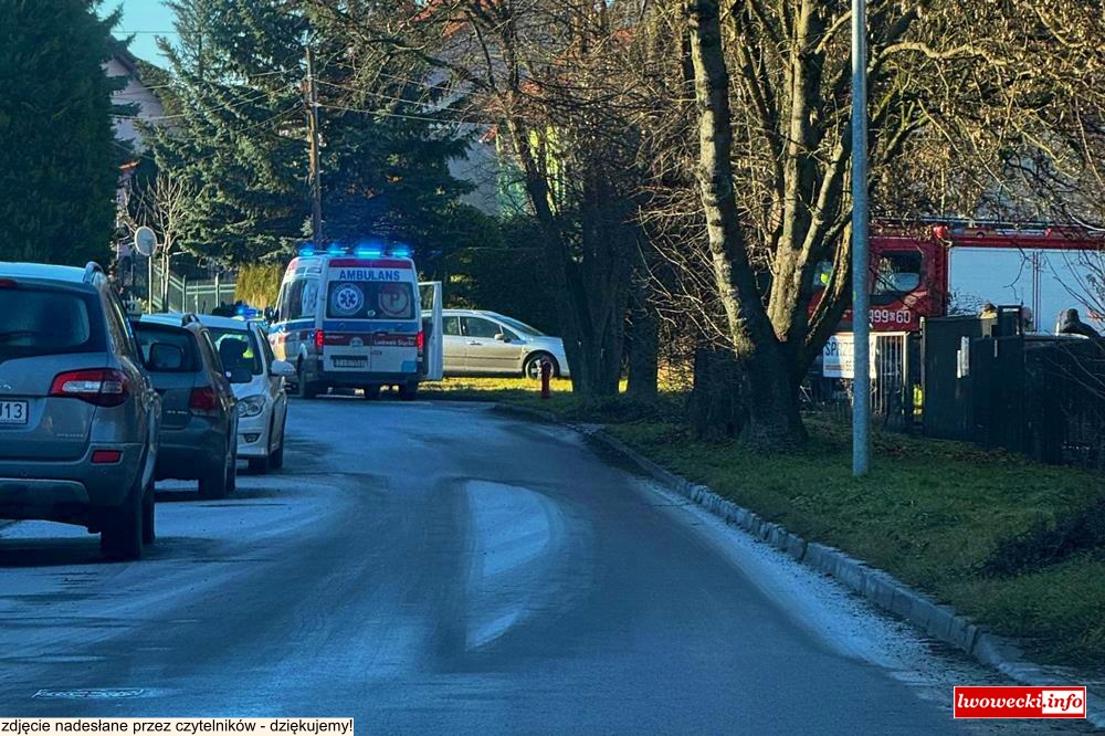 Co się stało w Gryfowie Śląskim? Na miejscu wszystkie służby