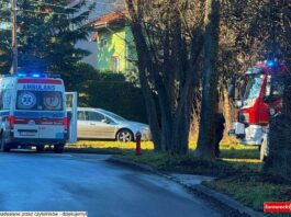 Co się stało w Gryfowie Śląskim? Na miejscu wszystkie służby