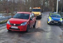 Dacia uderzyła w drzewo